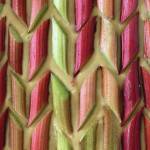 Rhubarb custard cake is ready to be baked. (Photo by Tressa Dale/Peninsula Clarion)