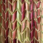 Rhubarb custard cake is ready to be baked. (Photo by Tressa Dale/Peninsula Clarion)