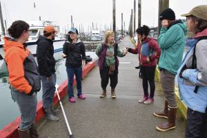 Emilie Springer/ Homer News
Participants from the Kachemak Bay Research Reserves eDNA workshop collect water samples from Homer Harbor on Friday, July 26.