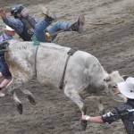 Jesse Kitson competes in Bull Riding at the third Soldotna Equestrian Association rodeo of the season Sunday, July 28, 2024, at the Soldotna Rodeo Grounds in Soldotna, Alaska. (Photo by Jeff Helminiak/Peninsula Clarion)