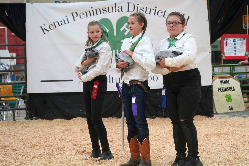 Champion rabbits raised by Jocelyn Krone are displayed for auction during the Kenai Peninsula District 4-H Agriculture Expo in the Soldotna Regional Sports Complex in Soldotna, Alaska, on Saturday, July 27, 2024. (Jake Dye/Peninsula Clarion)