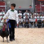 Ian Chihuly shows his champion turkey for auction during the Kenai Peninsula District 4-H Agriculture Expo in the Soldotna Regional Sports Complex in Soldotna, Alaska, on Saturday, July 27, 2024. (Jake Dye/Peninsula Clarion)