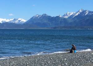 Kachemak Bay can be seen June 12, 2020, in Homer, Alaska. (Photo by Jeff Helminiak/Peninsula Clarion)