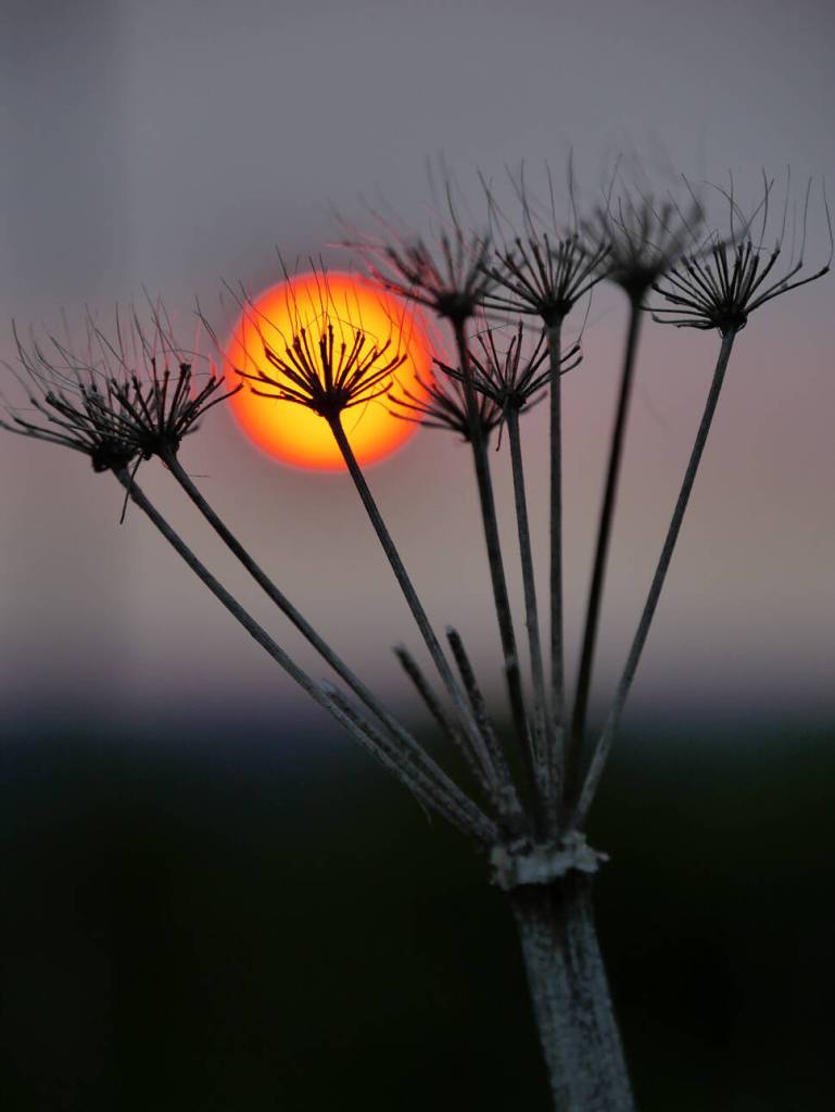 Pushki Sunset by Lorna Branzuela is on display through September at Fireweed Gallery in Homer, Alaska. Photo provided by Fireweed Gallery