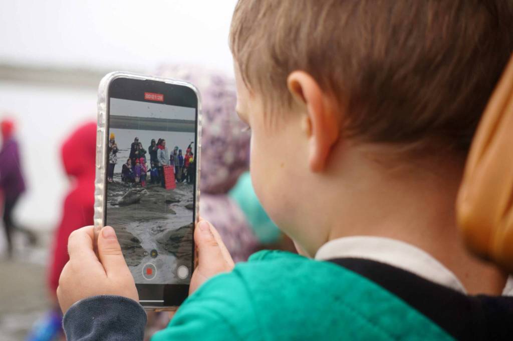 A young boy films as seals are released from the Alaska SeaLife Centers Wildlife Response Program at North Kenai Beach in Kenai, Alaska, on Thursday, Sept. 5, 2024. (Jake Dye/Peninsula Clarion)