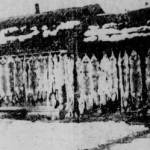 This Alaska Game Commission photograph appeared in March 1940 in the Daily Alaska Empire (Juneau), showing the startling success of Warren Melville Nutters coyote-trapping efforts. Each of these furs brought Nutter a $20 bounty, plus the market price (about $5) for each pelt.