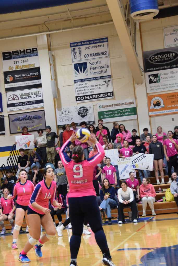 Rebecca Trowbridge (center) sets the ball during the varsity game against Redington on Saturday, Oct. 5, 2024, in the Alice Witte Gymnasium at Homer High School in Homer, Alaska. (Delcenia Cosman/Homer News)