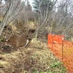 The Diamond Creek Trail, located approximately 4 miles north of Homer, Alaska, reopened for public use as of an announcement on Wednesday, Oct. 23, 2024. Photo by Eric Clarke