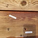 Two of several bullet holes are seen in the exterior of the Kachemak Bay Family Planning Clinics administrative and education building, formerly the REC Room, on Tuesday, Nov. 12, 2024, following a shooting incident on Monday, Nov. 11 at approximately 5:45 a.m in Homer, Alaska. (Delcenia Cosman/Homer News)