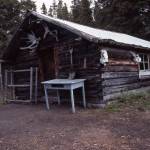 This is the cabin on Pipe Creek, along the north shore of Tustumena Lake, where Harold Galliett sought shelter after surviving a commercial airlines crash in the lake in September 1965. (Photo by Clark Fair, 1990)