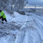 Chad Felice from the City of Homer Parks Department is dispatched by the city to help clear roads of brush and trees for graders and snow plows on Friday, Dec. 13, 2024, in Homer, Alaska. Photo courtesy of Mike Zelinski