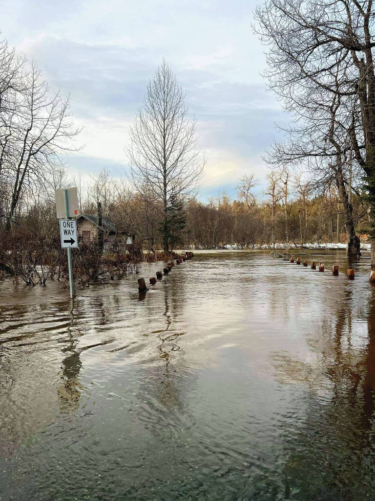 One of the campgrounds in the Anchor River State Recreation Area is flooded by the Anchor River on Tuesday, Dec. 10<ins>, 2024, in Anchor Point, Alaska</ins>. Photo courtesy of Tim Hatfield