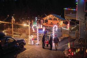 Homer families visit the Bear Creek Winery Garden of Lights, held Dec. 13-14 and Dec. 20-21<ins>, 2024, in Homer, Alaska</ins>. Photo courtesy of Louis Maurer