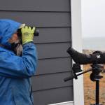 Kachemak Bay Birders member Gary Lyon watches for birds near the Lands End Resort condos on the Homer Spit during the Christmas Bird Count count day on Saturday, Dec. 21, 2024, in Homer, Alaska. (Delcenia Cosman/Homer News)
