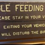 The Eagle Lady sign was once displayed on the Homer Spit during the lifetime of Jean Keene, Homers Eagle Lady. Photo provided by Tim Hatfield