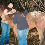 Spurr, a 1-and-a-half-year-old colt, and his owners are photographed in January 2025, before his disappearance on Sunday, in Homer, Alaska. (Photo courtesy of Katie Klann)