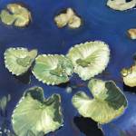 Pond Lily, an oil painting by Kim McNett, is one of several works included in her February exhibit at Bunnell Street Arts Center in Homer, Alaska. Photo provided by Kim McNett