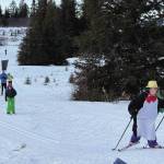 A penguin wearing a golden top hat leads the pack on Sunday, Feb. 9 during the annual Ski for Women fundraiser at the Lookout Mountain XCS Trails on Ohlson Mountain. (Chloe Pleznac/Homer News)