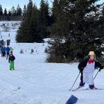 A penguin wearing a golden top hat leads the pack on Sunday, Feb. 9 during the annual Ski for Women fundraiser at the Lookout Mountain XCS Trails on Ohlson Mountain. (Chloe Pleznac/Homer News)