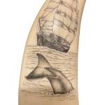Introduction to Scrimshaw Carving, a workshop with Conrad Field, will be held at Homer Council on the Arts on Monday, Tuesdays and Wednesdays, March 31 through April 28, 2025, in Homer, Alaska. Photo provided by Homer Council on the Arts
