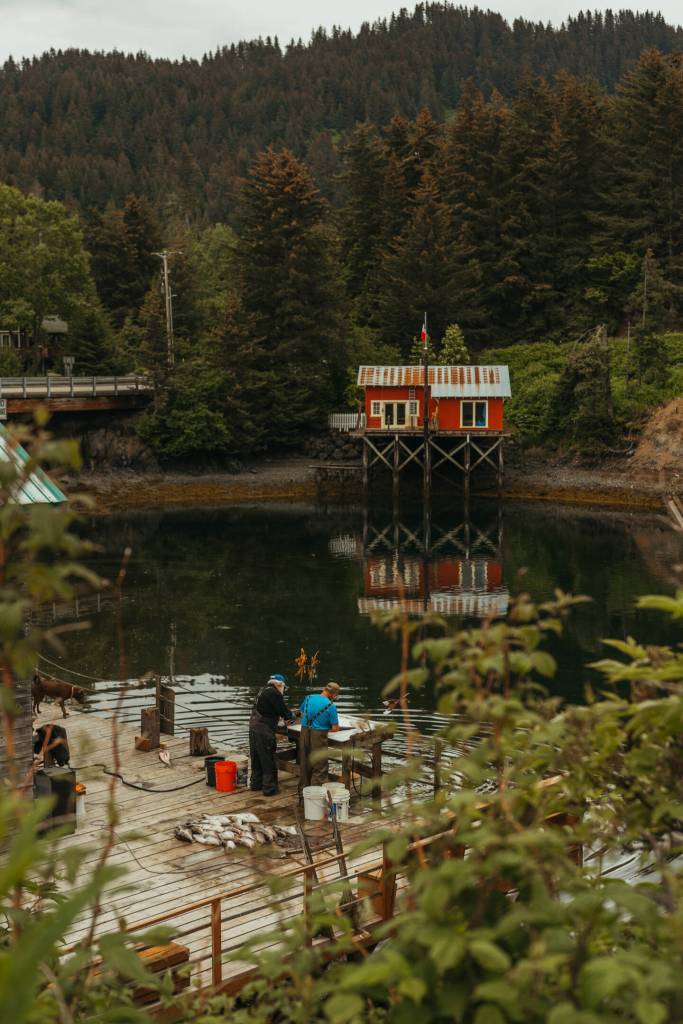The Quiet Life, a photograph taken by Mercedes Santana in Seldovia in the summer of 2024, is on display in her solo exhibit at South Peninsula Hospital in Homer, Alaska. Photo provided by Mercedes Santana