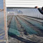 Anchor Point Greenhouse owner Al Poindexter shows a greenhouse that will soon be filled with plants. The business, which has been in operation since 1976, reopened for the season on Monday, March 10, 2025, in Anchor Point, Alaska. With the spring equinox on Friday, now is a great time to start planning your planting season! (Chloe Pleznac/Homer News)