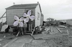 This photograph by Inupiaq artist Jenny Irene is on display through April in her exhibit, On this sand (together) at Bunnell Street Arts Center in Homer, Alaska. Photo provided by Bunnell Street Arts Center