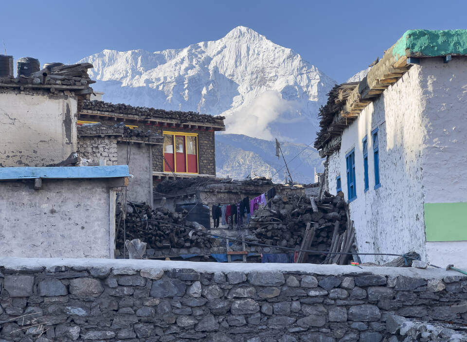 Soaring Nanga Parbat is a photograph by Taz Tally, on display through April at Fireweed Gallery in his collaborative exhibit with Christina Whiting, Meander to Mustang. Photo provided by Taz Tally