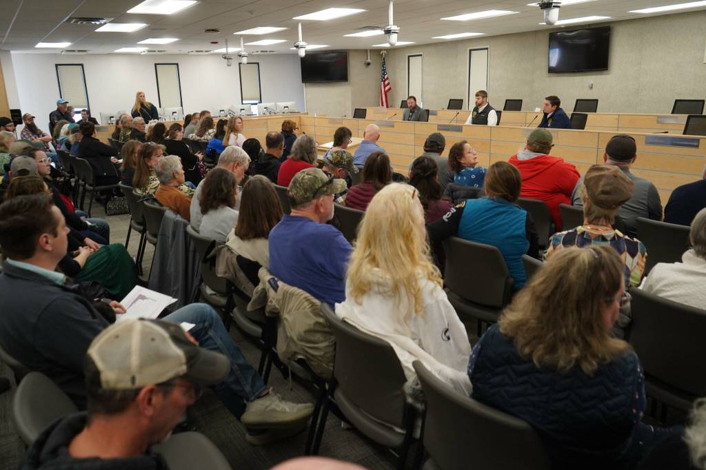 KPBSD Board of Education member Patti Truesdell speaks during a town hall meeting hosted by three Kenai Peninsula legislators in the Kenai Peninsula Borough Assembly Chambers in Soldotna, Alaska, on Saturday, March 29, 2025. (Jake Dye/Peninsula Clarion)