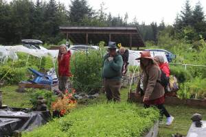 Mark Sabbatini / Juneau Empire file photo
People tour the garden plots during the 30th Annual Juneau Community Garden Harvest Fair on Saturday, Aug 24, 2024.
