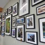 Wildlife photography by Homer artist Christopher Kincaid decorates the wall on Thursday, March 27, 2025, in a display at Homer Sweet Home on Main Street in Homer, Alaska. (Delcenia Cosman/Homer News)