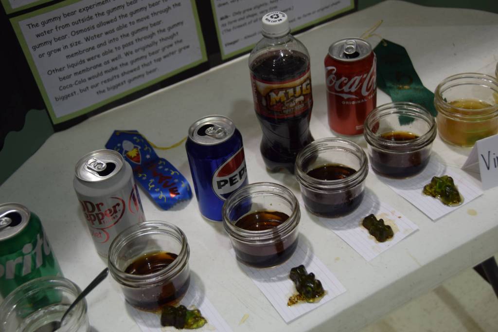 Disintegrating gummy bears are on display during McNeil Canyon Elementarys Science Fair on April 4. This project was presented by McNeil students Emrie and Ellowyn. (Chloe Pleznac/Homer News)