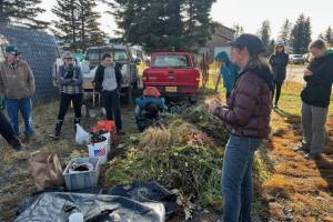 Kyra Wagner teaches a compost-making class last fall at the Kachemak Bay Campus high tunnel. Wagner will teach another class on composting Saturday, April 26, at 4:30 p.m. in conjunction with the free Southcentral Growers Conference. (Photo courtesy of Jill Burnham, Kachemak Bay Campus - Kenai Peninsula College)