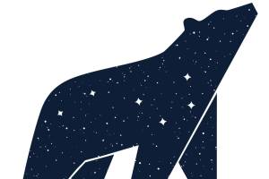 Ursa Major Fund logo. Photo courtesy of Bunnell Street Arts Center
