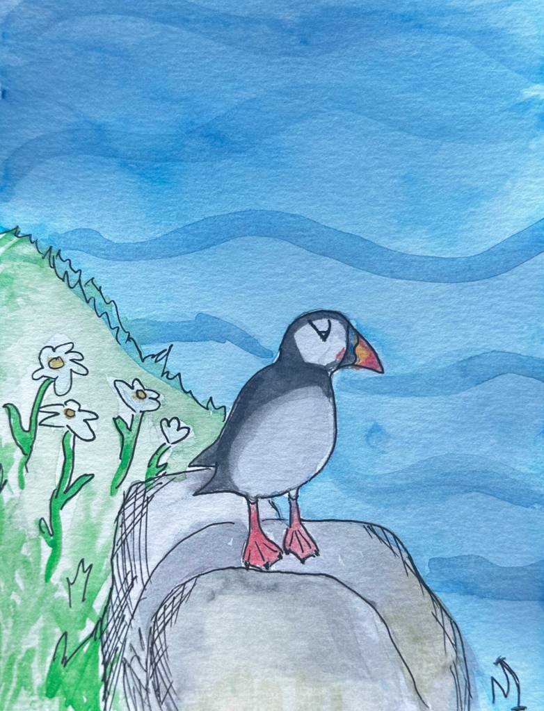 Atlantic Puffin is a watercolor and ink painting by youth artist Madilyn Illg. Photo provided by Madilyn Illg