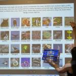Amiah Jared points out Sandhill Cranes as an example on the modified Guess Who? game board she created for her final practicum on Thursday, May 1, 2025, at Kachemak Bay Campus, in Homer, Alaska. (Chloe Pleznac/Homer News)