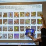 Amiah Jared points out Sandhill Cranes as an example on the modified Guess Who? game board she created for her final practicum on Thursday, May 1, 2025, at Kachemak Bay Campus, in Homer, Alaska. (Chloe Pleznac/Homer News)