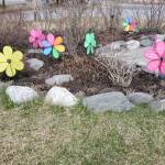 Colorful pinwheels twirl in the wind in a flowerbed outside the Anchor Point Post Office on Saturday, May 3, 2025, in Anchor Point, Alaska. (Delcenia Cosman/Homer News)