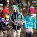 Students stock rainbow trout into Johnson Lake during Salmon Celebration, hosted by the Alaska Department of Fish and Game near Kasilof, Alaska, on Wednesday, May 7, 2025. (Jake Dye/Peninsula Clarion)