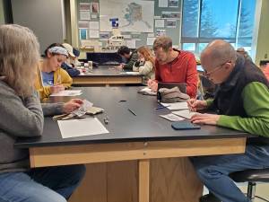 Kachemak Bay Shorebird Festival attendees draw a surfbird from a photo reference during featured artist Danielle Larsens art workshop on Friday, May 9, 2025, at the Alaska Maritime National Wildlife Refuge Visitor Center in Homer, Alaska. (Delcenia Cosman/Homer News)