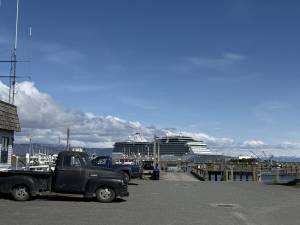 The Oceania Riveria stands out against a bluebird sky at the Homer Harbor on Wednesday, May 7, 2025. Over 1200 passengers from aboard the boat explored Homer throughout the beautiful day. (Chloe Pleznac/Homer News)