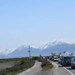 Cars and trucks adorned with flags drive down the Homer Spit Road on Saturday, June 14, 2025, in Homer, Alaska. The processional was in honor of Flag Day and the 250th anniversary of the U.S. Army being formed. (Chloe Pleznac/Homer News)
Cars and trucks adorned with flags drive down the Homer Spit Road on Saturday, June 14, 2025 in Homer, Alaska. The processional was in honor of Flag Day and the 250th anniversary of the U.S. Army being formed. (Chloe Pleznac/Homer News)