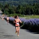 Amanda Cherok, competing in the Homer Spit Run 10 to the Bay on Saturday, June 28, 2025, runs along the Homer Spit Trail towards the finish line near Lands End Resort in Homer, Alaska. Cherok finished first in the womens category for the 10K race. (Delcenia Cosman/Homer News)