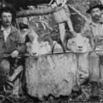 Posing in front of Steve Melchiors cabin on the Killey River in 1912 are (left) packer/cook Ferdinand Fritz Posth and hunting guide William Wild Bill Dewitt, with two trophy Dall sheep heads. (Photo from E. Marshall Sculls 1914 hunting memoir, Hunting in the Arctic and Alaska)