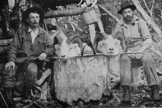 Posing in front of Steve Melchiors cabin on the Killey River in 1912 are (left) packer/cook Ferdinand Fritz Posth and hunting guide William Wild Bill Dewitt, with two trophy Dall sheep heads. (Photo from E. Marshall Sculls 1914 hunting memoir, Hunting in the Arctic and Alaska)