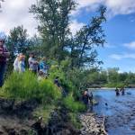 Community members gather on the banks of the Anchor River near the finish line to watch ducks float down the river during the annual Anchor River Duck Races on Saturday, July 5, 2025, in Anchor Point, Alaska. (Delcenia Cosman/Homer News)