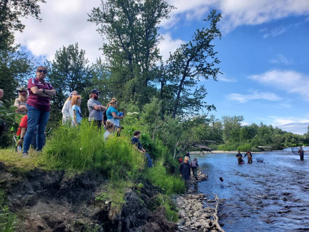 Community members gather on the banks of the Anchor River near the finish line to watch ducks float down the river during the annual Anchor River Duck Races on Saturday, July 5, 2025, in Anchor Point, Alaska. (Delcenia Cosman/Homer News)