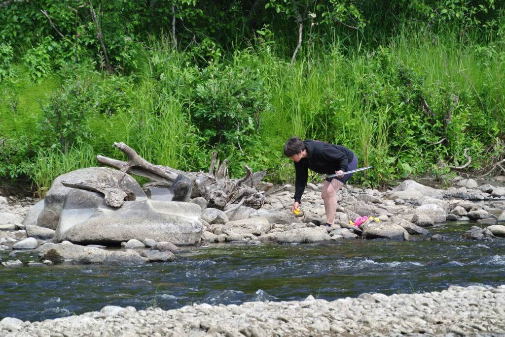 Ruth Mitchell collects stranded ducks during the annual Anchor River Duck Races on Saturday, July 5, 2025, in Anchor Point, Alaska. (Delcenia Cosman/Homer News)