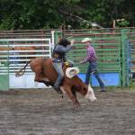 A competitor holds on tight during the junior bull riding event on Sunday, July 6, 2025, at the Kenai Peninsula Fairgrounds in Ninilchik, Alaska. (Chloe Pleznac/Homer News)