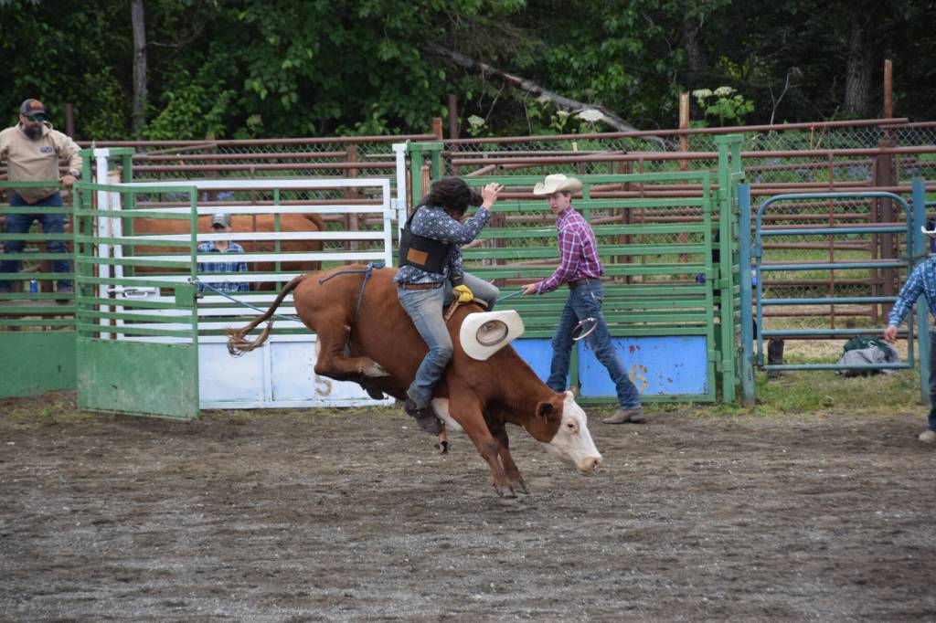 A competitor holds on tight during the junior bull riding event on Sunday, July 6, 2025, at the Kenai Peninsula Fairgrounds in Ninilchik, Alaska. (Chloe Pleznac/Homer News)